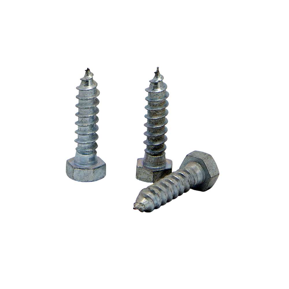 2" Coach Screw 1