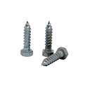 2" Coach Screw 1
