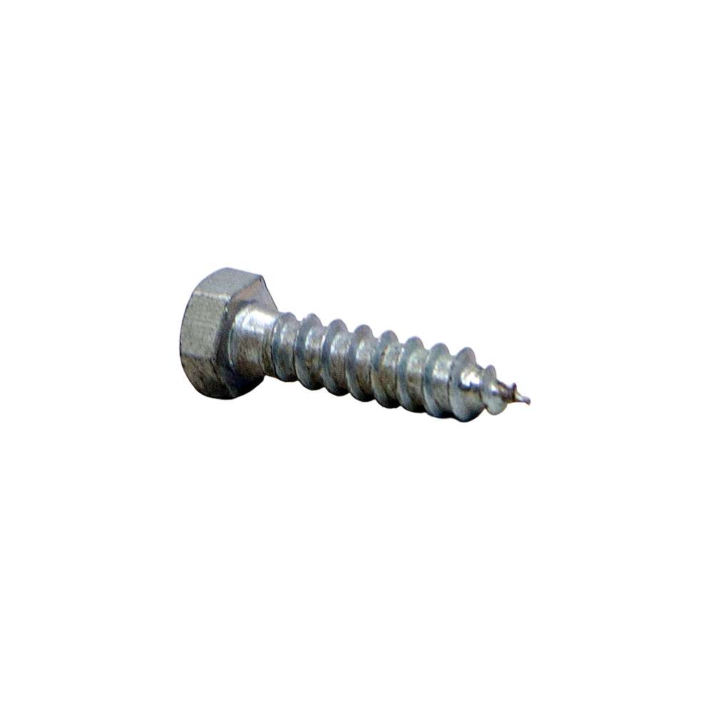 2" Coach Screw 2