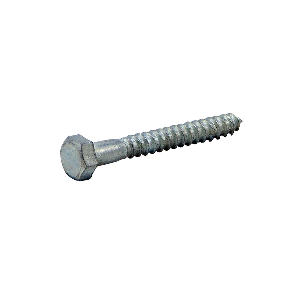 3" Coach Screw 1