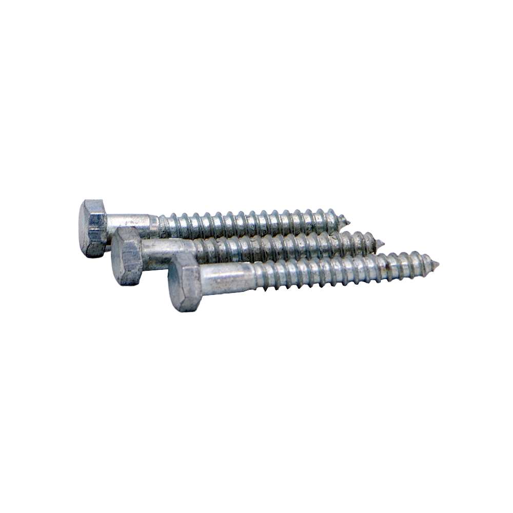 3" Coach Screw 2