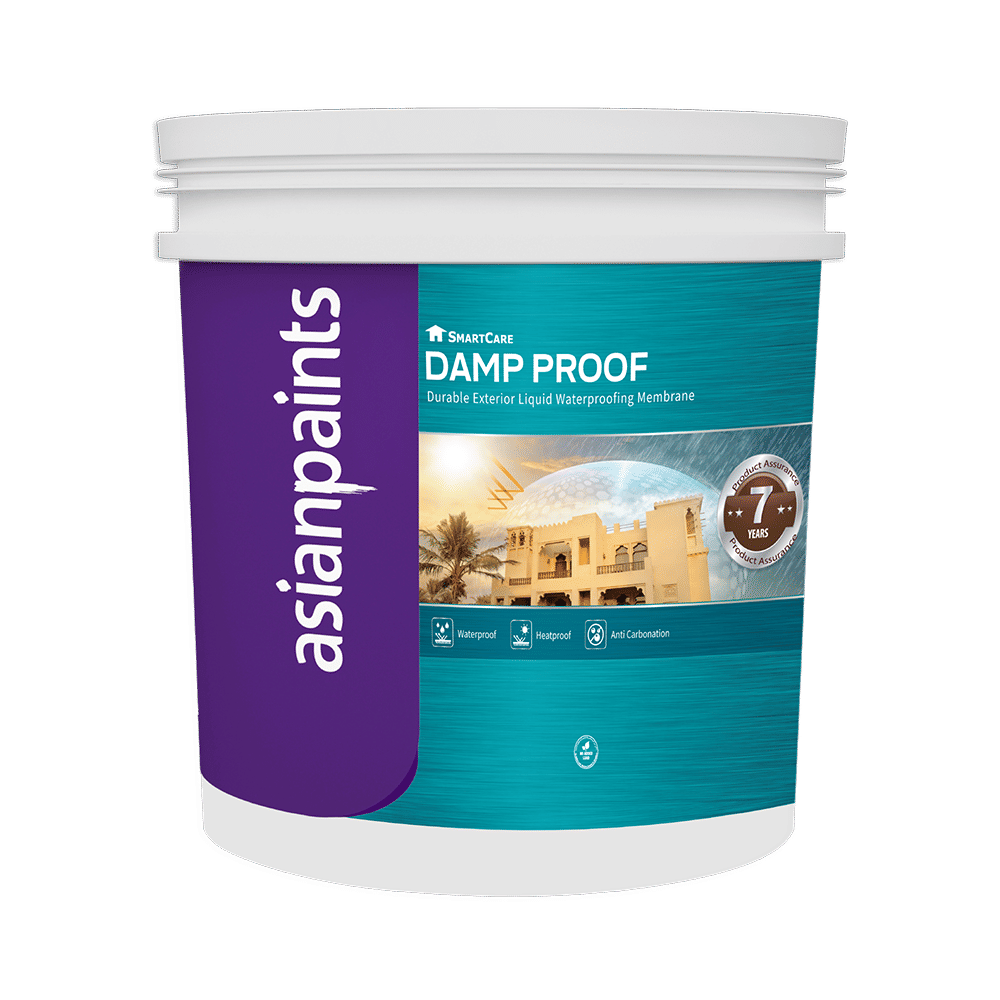 Asian Paints Berger SmartCare Damp Proof 3.6L 0