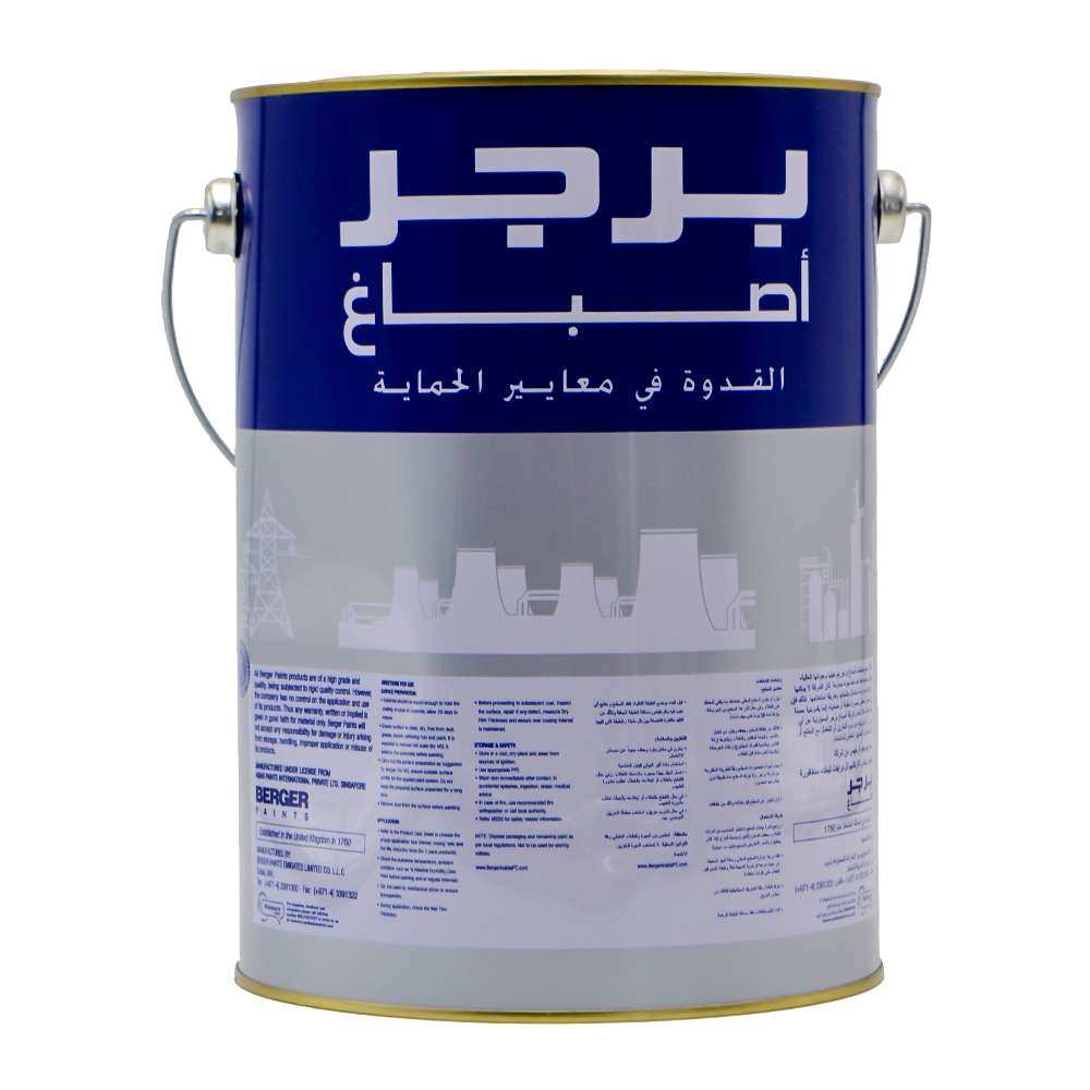 Asian Paints Berger Floor Guard Epoxy Top Coat 20L Base 5L Hardener - Flake Grey 4