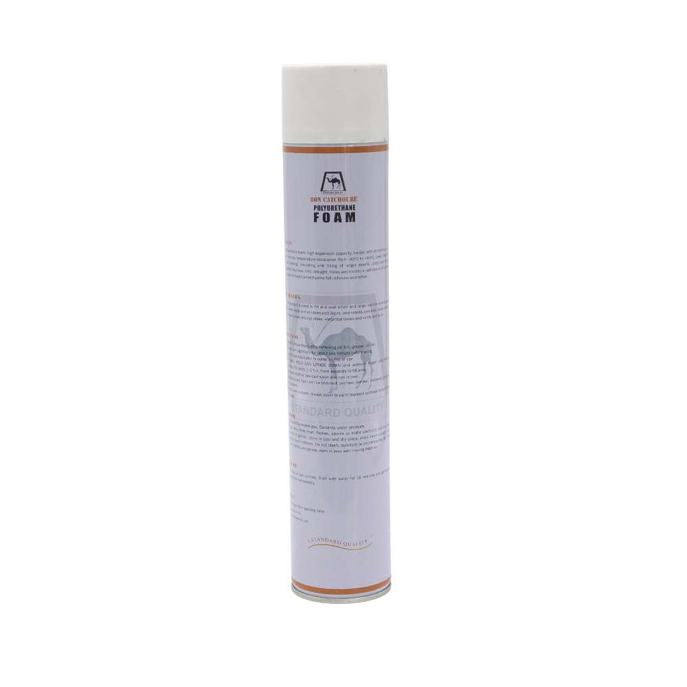 Bon Catchoure Polyurethane Spray Foam 750ML 1