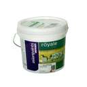 Asian Paints Berger Royale Glitter Paint 0