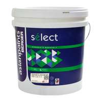Asian Paints Berger Select Tartaruga, 32Kg, T322, Exterior Textured Roughcast Finish