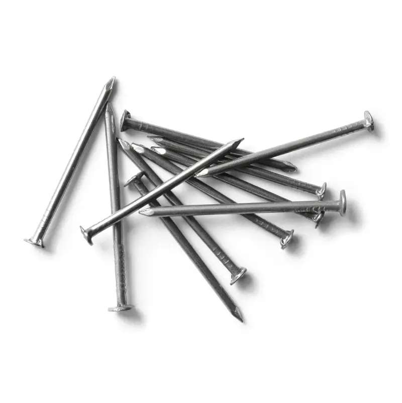 Wire Nail 2 .5" - 13 Kg 0
