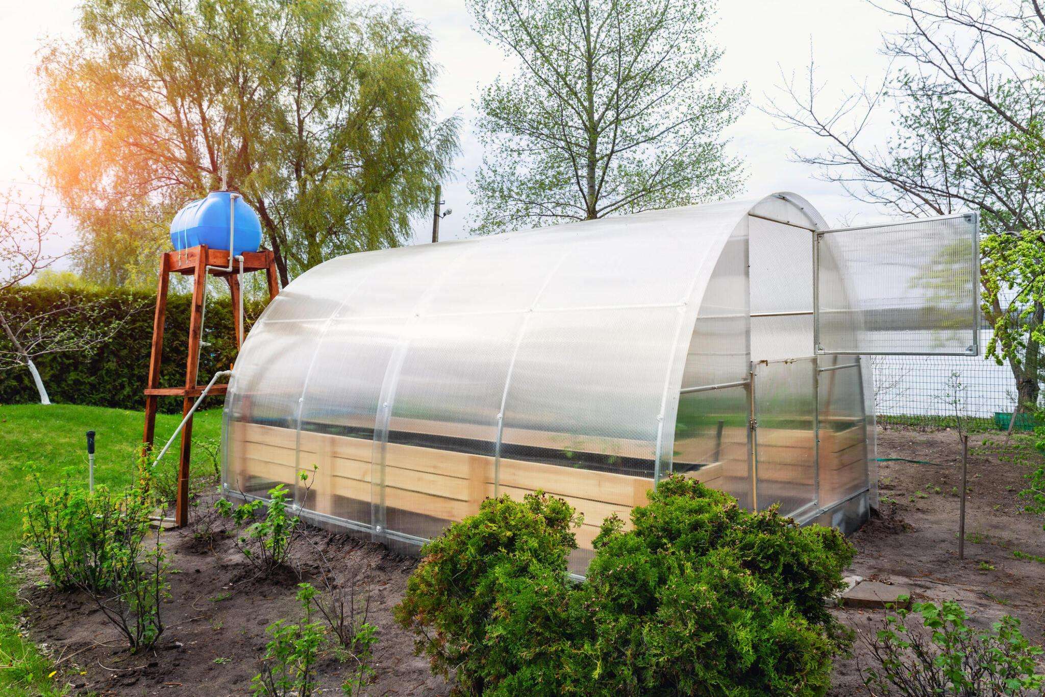 DIY Greenhouse Project Using Polythene Sheets