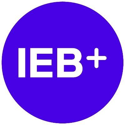 IEB logo