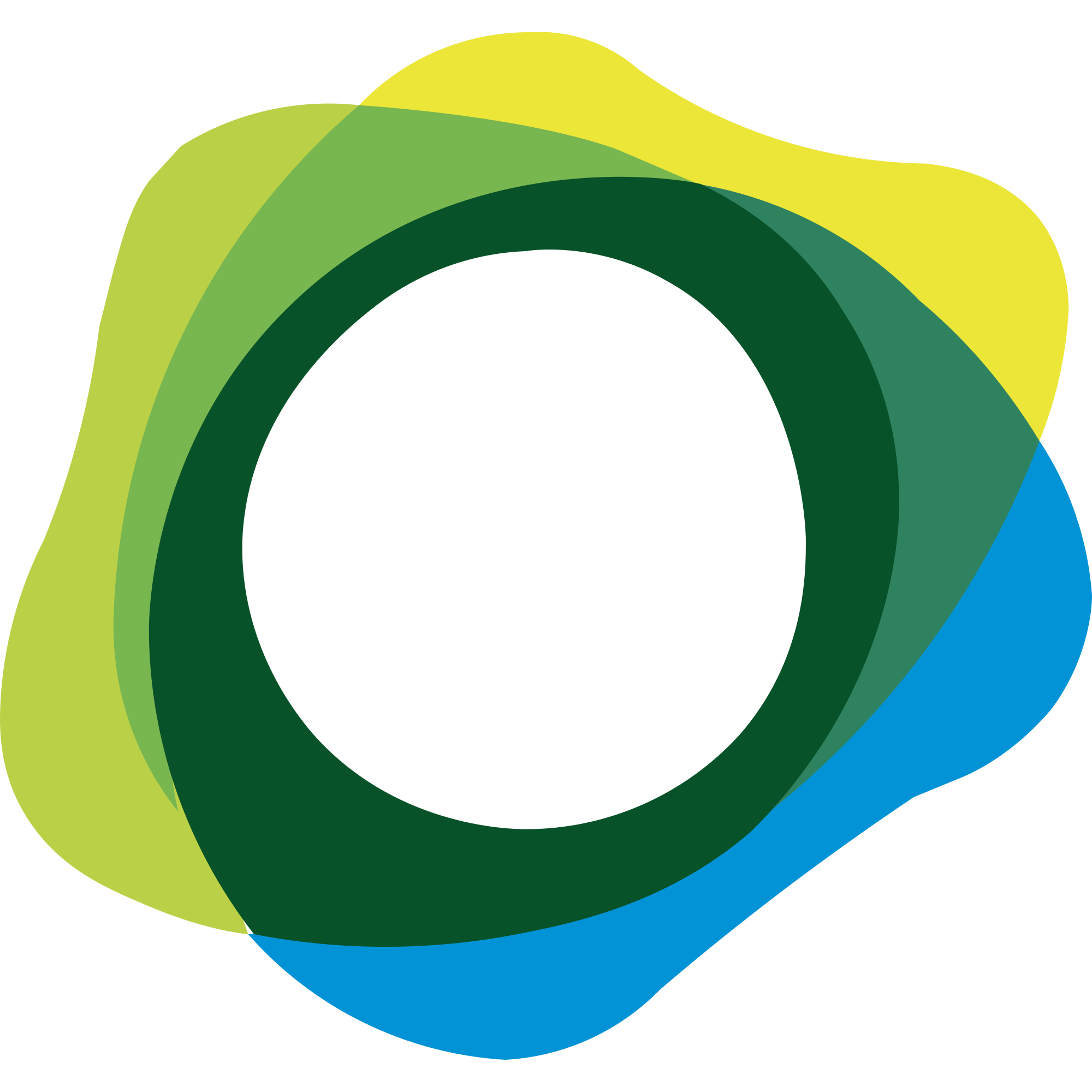 USDP logo