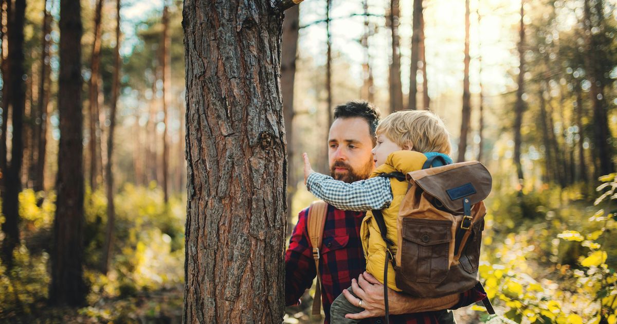 Beneficios de la Exposición al Sol en Actividades Familiares