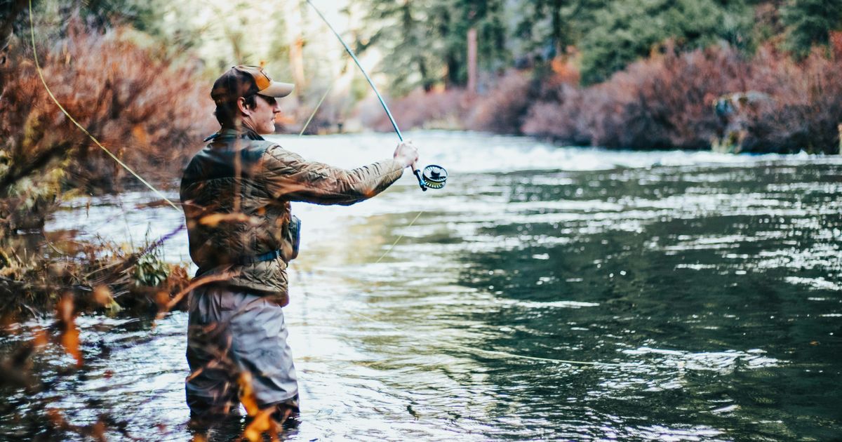 Historia y Evolución de la Pesca Deportiva