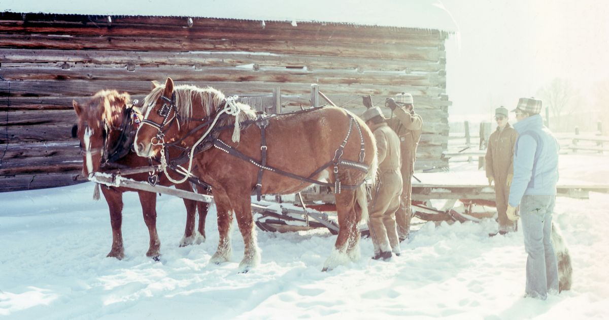 Turismo Ecuestre: Explorando Naturaleza a Caballo