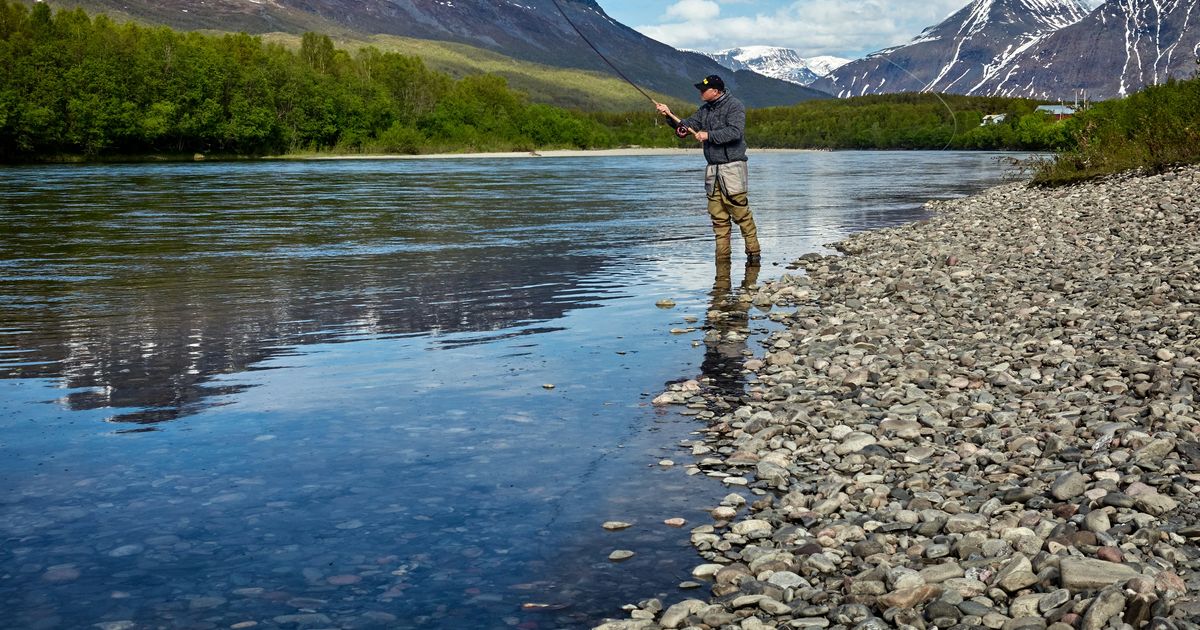 ¿Cómo Sacar Permiso de Pesca Deportiva?