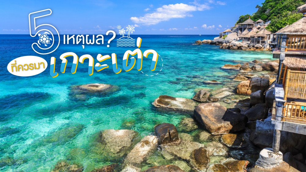 5 เหตุผลที่ควรมาเกาะเต่า