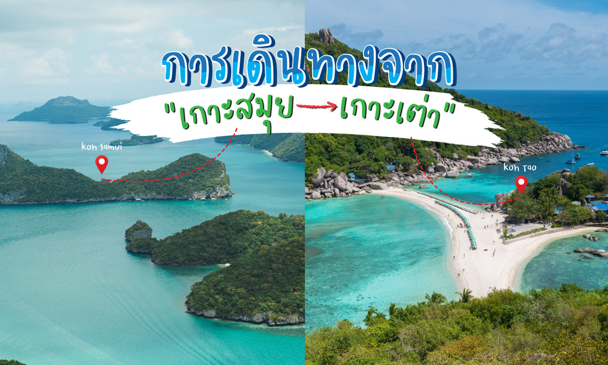 การเดินทางจากสมุยไปเกาะเต่าสอบถามโทร0962284000