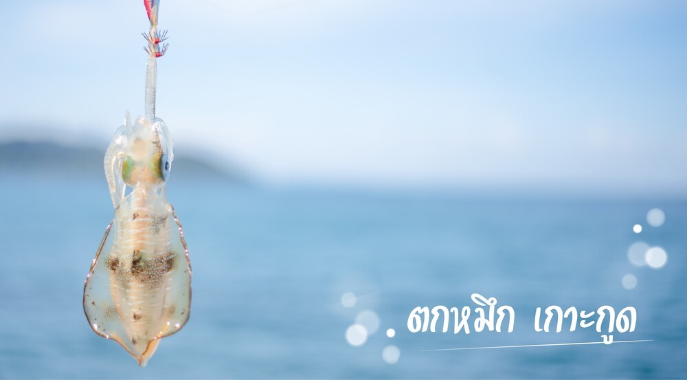 ทริป ดำน้ำ ตกหมึก เกาะกูด