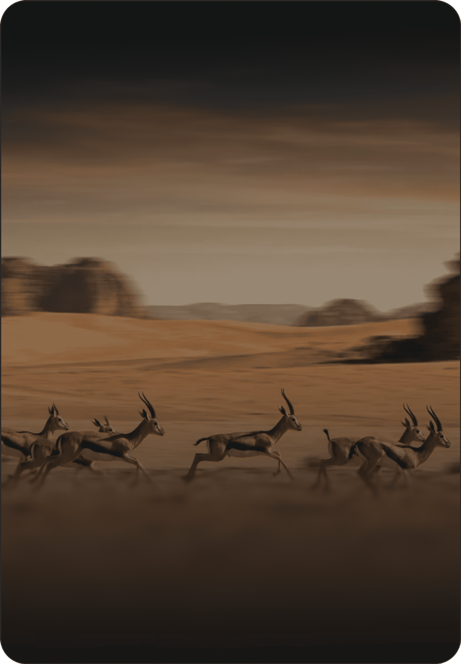 Herd of gazelles sprinting across a sunlit desert with rocky outcrops in the background.