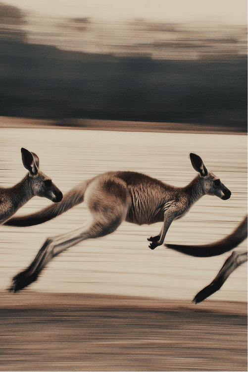 Three kangaroos bounding across a sandy shoreline with motion blur conveying speed.