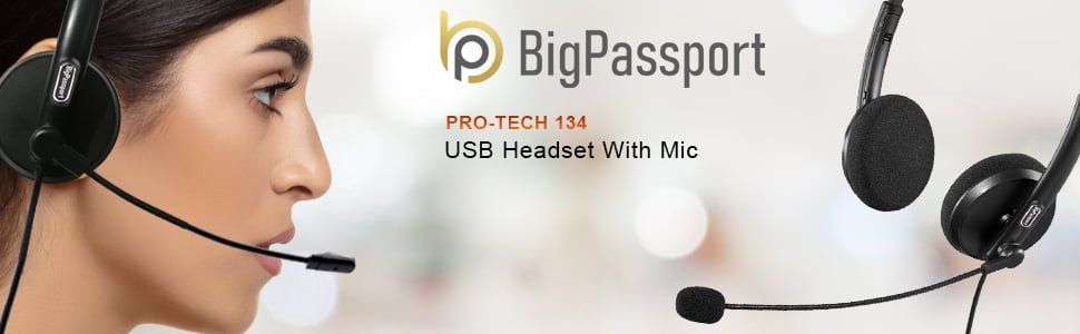 headphones with mic on pc