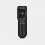 Bigpassport-Microphone-M800B-Product-Img-02