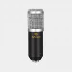 Bigpassport-Microphone-M800B-Product-Img-02