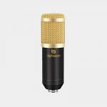 Bigpassport-Microphone-M800B-Product-Img-02