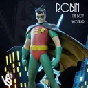 robin - foto 1