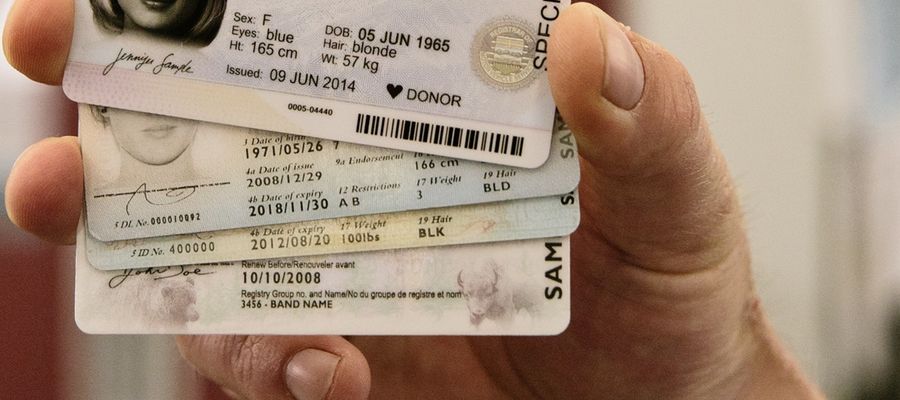 Digital Signatures in Drivers License Barcodes