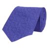 Tiekart men blue tie