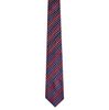 Multi Polka Micro Fiber Necktie for Men Multi Polka Micro Fiber Necktie for Men