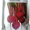 BEETROOT – चुकंदर