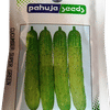 CUCUMBER – खीरा