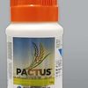 Pactus