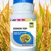 Doron Top