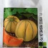 MUSKMELON – खरबूजा