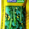 SPONGEGOURD – गिलकी