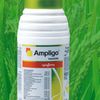 Ampligo