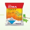 ACL ATRA