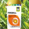 Fireball