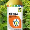 Moto Plus