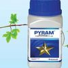 PYRAM