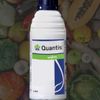 Quantis