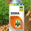 Sora