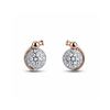 Eternal Radiance Studs