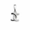 The Crystal Eternity Circle Pendant