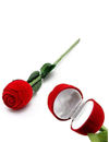 Valentine Gifts by YouBella Fashion Jewellery Gold Plated Rose Flower with Gift Box (Red)