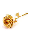 Valentine YouBella Jewellery Combo of Gold Plated Rose Flower and Charm Bangle Bracelet for Girls/Women