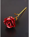 Valentine YouBella Jewellery Combo of Gold Plated Rose Flower and Necklace Chain for Girls/Women