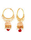 YouBella Jewellery Gold Plated Jhumkis Earrings for Women (Golden)(YBEAR_31335)